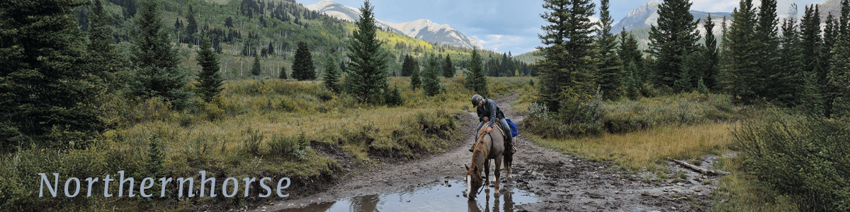 Northernhorse.com Splash image