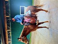 SHINERS DUSTY JEWEL & owner Jack Zeggellar
BOOTZ is sired by SHINERS LENA DUST & WHIZZIE CHARM